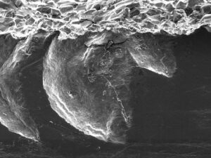 A high magnification SEM view of the fracture origin is observed at the vertical "0".