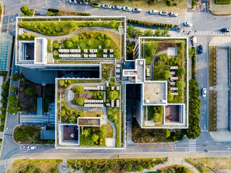 Green roof with plans on top of building