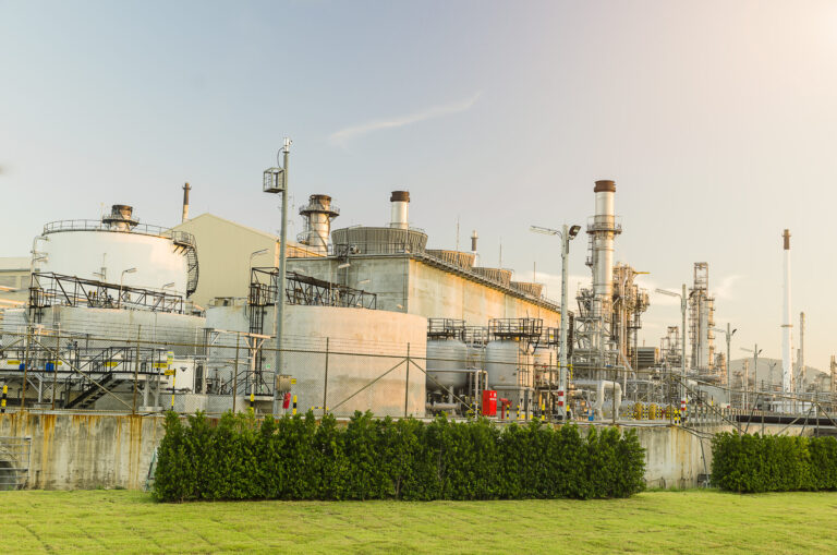 Commercial and Project Management Services for a Chemical Processing Plant