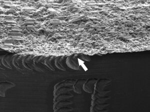 An increased magnification SEM view of the fracture origin indicates the fracture initiated at the vertical line of the "0". The brittle, intergranular region, adjacent to the fracture initiation site, is observed.