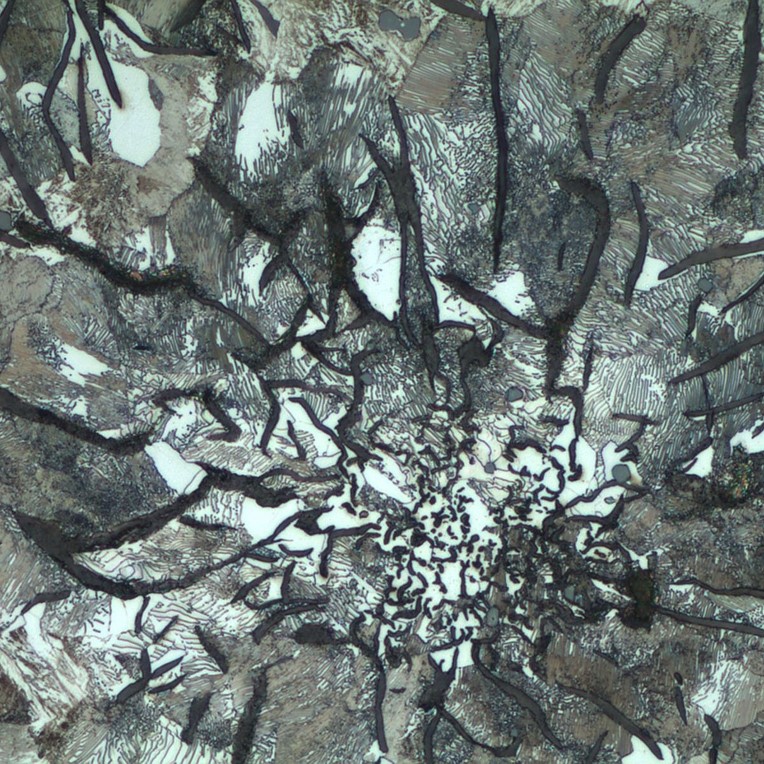 Metallurgical microstructure analysis of a cast iron graphite rosette