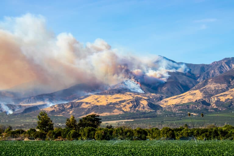 article_hidden aftermath_wildfire health impacts_thomas fire montecito california