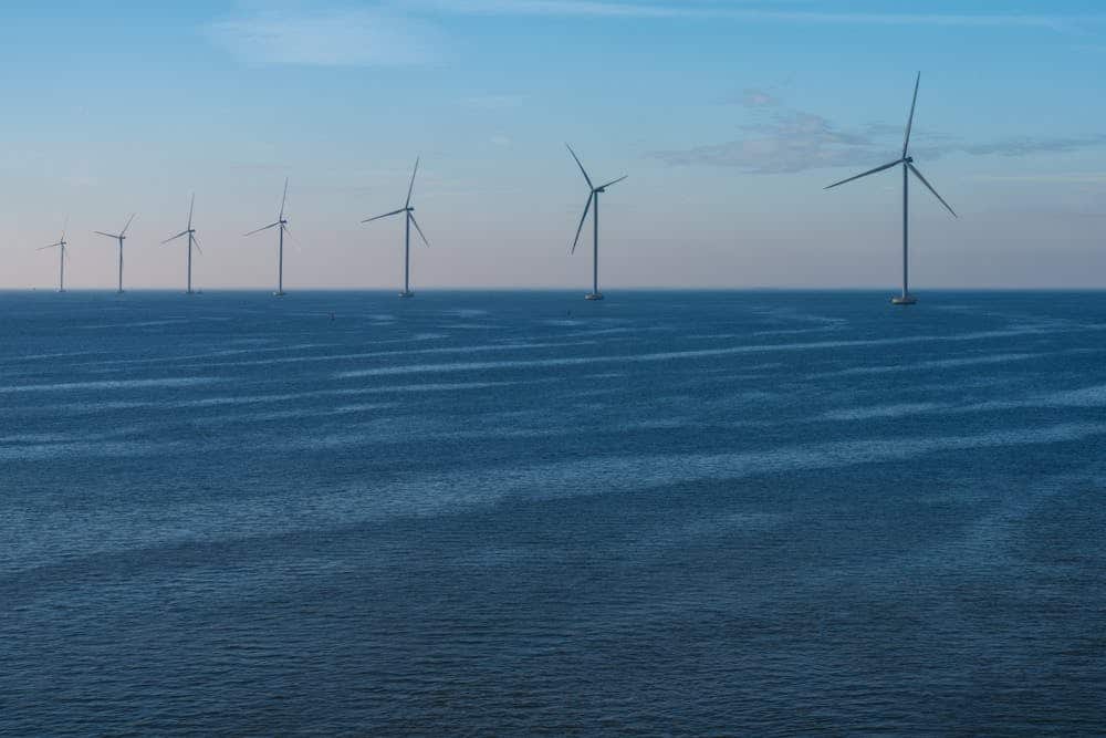 what is a net zero building